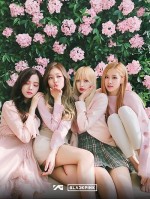 Fan Blackpink đâu,zô đây 