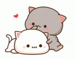 Team cute