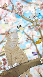 Hội yêu mèo và hamster