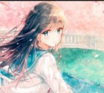Fan anime