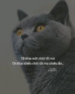 ♡๖ۣۜTεαм ๖ۣۜCà ๖ۣۜKhịa ...