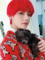 nhóm yêu chàng trai k-pop