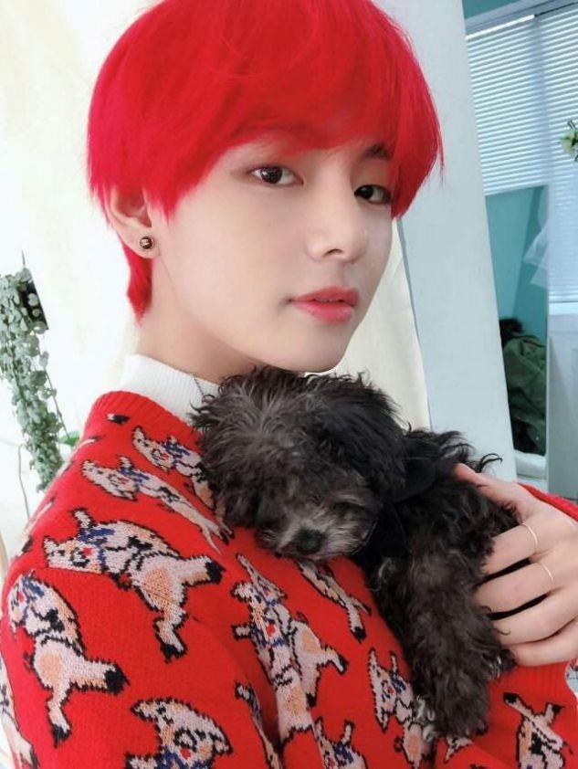nhóm yêu chàng trai k-pop