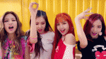 Blackpink và Blink xuất kích