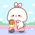 Team cute phô mai que
