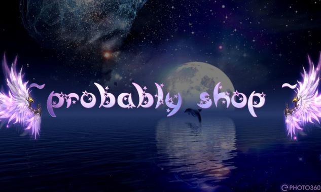 ~Probably shop~
