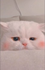 Tên hội nhóm là gì thì còn lâu mới nói nhá
