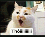 nhóm thân