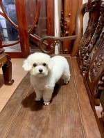 Nhóm hay hỏi bài