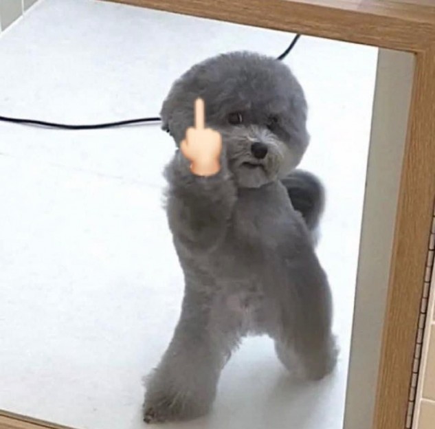 Dcm