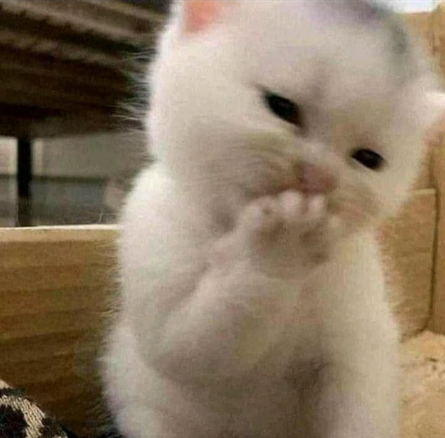 Báo là giỏi