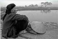Tết này con không về (Trương Thế Phong),Tết này con không về,Trương Thế Phong,Tết này con không về (Trương Thế Phong)