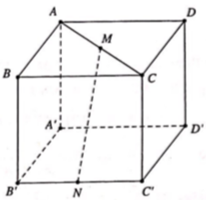 Cho hình lập phương ABCD.A’B’C’D’ cạnh a. Gọi M, N lần lượt là trung điểm của AC và B’C’ (tham khảo hình vẽ bên). Khoảng cách giữa hai đường thẳng MN và B’D’ bằng