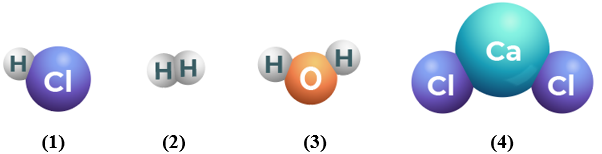 Cho hình mô phỏng hạt hợp thành của một số phân tử:Phân tử được tạo thành từ một nguyên tố hóa học là