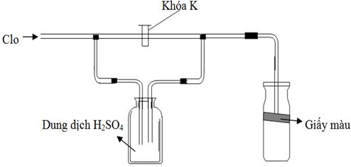 Trong thí nghiệm ở hình bên người ta dẫn khí clo mới điều chế từ MnO<sub>2</sub> rắn và dung dịch axit HCl đặc. Trong ống hình trụ có đặt một miếng giấy màu. Hiện tượng gì xảy ra với giấy màu khi lần lượt: a) Đóng khóa K ; b) Mở khóa K