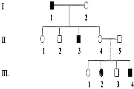 Cho phả hệ sau. trong đó các ô đen là người bị bệnh, các ô không màu là người bình thường và không có đột biến xảy ra trong các thế hệ. Khi cá thể II-1 kết hôn với cá thể có kiểu gen giống với II-2 thì xác suất họ sinh được một con trai bị bệnh và một con gái bình thường là bao nhiêu?