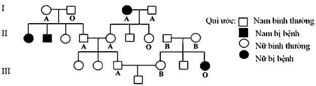 Cho sơ đồ phả hệ mô tả sự di truyền của một bệnh ở người do một trong hai alen của một gen quy định. Một gen khác gồm 3 alen qui định nhóm máu ABO nằm ở một nhóm gen liên kết khác. Biết rằng không xảy ra đột biến ở tất cả các cá thể trong phả hệ. Xác suất để đứa con trai do cặp vợ chồng ở thế hệ III sinh ra mang gen bệnh và có kiểu gen dị hợp về nhóm máu là bao nhiêu?