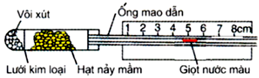 Hình bên mô tả thời điểm bắt đầu thí nghiệm phát hiện hô hấp ở thực vật. Thí nghiệm được thiết kế đúng chuẩn quy định. Dự đoán nào sau đây đúng về kết quả thí nghiệm?