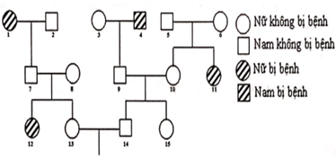 Sơ đồ phả hệ dưới đây mô tả một bệnh di truyền ở người do 1 trong 2 alen của một gen quy định Cho biết không phát sinh đột biến mới. Theo lí thuyết, phát biểu nào sau đây đúng về phả hệ này?