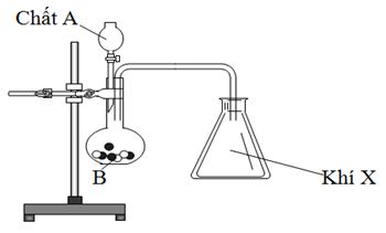 Cho hình thí nghiệm sau: chất B và chất X tương ứng lần lượt là