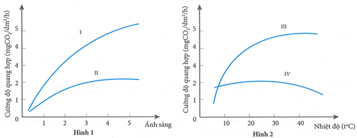 Cho sơ đồ về mối quan hệ giữa quang hợp của thực vật C<sub>3</sub>, C<sub>4</sub> với cường độ ánh sáng (hình 1) và với nhiệt độ (hình 2). Hãy cho biết kết luận nào sau đây sau về đường cong của nhóm thực vật là đúng?