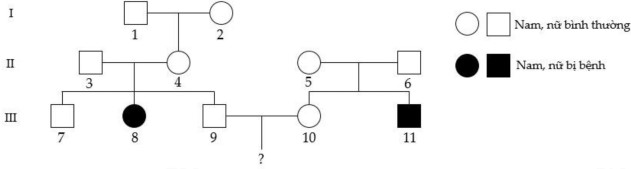 Phả hệ dưới đây mô tả một bệnh di truyền ở người do một trong hai alen của một gen quy định.Có bao nhiêu nhận xét sau đây là đúng?(1) Có 6 người trong phả hệ xác định được chắc chắn kiểu gen.(2) Xác suất người số (9) có kiểu gen giống với người bố (3) là 2/3. (3) Nếu cặp vợ chồng (5) - (6) sinh thêm một đứa con nữa, xác suất không mang alen bệnh của đứa trẻ này lớn hơn 30%.(4) Xác suất sinh được 3 người con, trong đó có 1 trai bình thường, 1 trai bị bệnh và 1 gái bị bệnh của cặp vợ chồng (9) - (10) lớn hơn 20%.