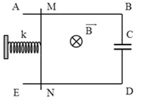 Cho hệ như hình vẽ. Khung dây không điện trở ABCD có AB song song với ED đặt nằm ngang; tụ có C = 4.10<sup>-7</sup>F, lò xo nhẹ có độ cứng k = 100 N/m, đoạn dây dài l = 20 cm tiếp xúc với khung và có thể chuyển động tịnh tiến dọc theo khung không ma sát. Hệ đặt trong từ trường đều có B vuông góc với mặt phẳng khung, độ lớn B= 10<sup>4</sup> T. Tịnh tiến MN khỏi vị trí cân bằng một đoạn nhỏ rồi buông ra. Sau đó MN dao động điều hòa. Tìm tần số góc của dao động. 