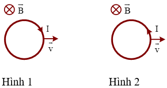 Hình vẽ nào sau đây xác định đúng chiều dòng điện cảm ứng khi cho vòng dây tịnh tiến với vận tốc v→ trong từ trường đều: