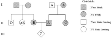 Sự di truyền một bệnh ở người do 1 trong 2 alen của gen quy định và được thể hiện qua sơ đồ phả hệ dưới đây. Các chữ cái cho biết các nhóm máu tương ứng của mỗi người. Biết rằng sự di truyền bệnh trên độc lập với di truyền các nhóm máu, quá trình giảm phân bình thường và không có đột biến xảy ra. Biết quần thể cân bằng di truyền. Xác suất để cặp vợ chồng ở thế hệ thứ II trong gia đình sinh người con có nhóm máu O và không bị bệnh trên là