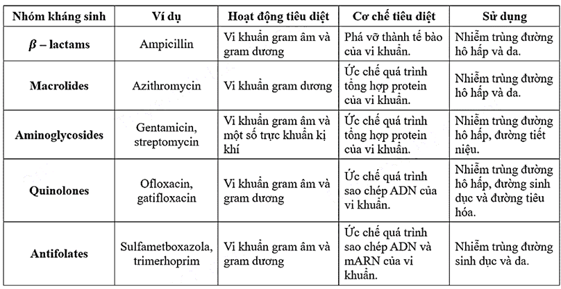 Đọc thông tin dưới đây và trả lời các câu hỏi từ câu 54 - câu 60: THUỐC KHÁNG SINH DIỆT VI KHUẨN Mặc dù nhiều dạng vi khuẩn rất hữu ích cho sức khỏe con người, nhưng chúng cũng có thể gây bệnh và thậm chí tử vong do nhiễm trùng nặng. Thuốc kháng sinh là một nhóm thuốc được sử dụng để chống nhiễm trùng do vi khuẩn, nó ức chế hoạt động sống của vi khuẩn và giết chết tế bào vi khuẩn. Bảng 1. Đặc điểm, cơ chế hoạt động và chỉ định sử dụng của một số nhóm kháng sinh. Hiệu quả của một số loại kháng sinh chống lại một loại vi khuẩn được biết là gây nhiễm trùng da thông thường đã được thử nghiệm. Thuốc được đưa vào nuôi cấy vi khuẩn hoặc kết hợp với sulfamethoxazole (tạo thành các hợp chất SMX) và được đưa vào nuôi cấy vi khuẩn. Điền đáp án thích hợp vào chỗ trống Thuốc kháng sinh là nhóm thuốc được sử dụng để chống nhiễm trùng do _______