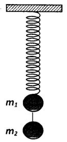 Một lò xo nhẹ có k = 100N/m treo thẳng đứng, đầu dưới treo hai vật nặng m1=m2=100g. Khoảng cách từ m2 tới mặt đất là h=4,918(m). Bỏ qua khoảng cách hai vật. Khi hệ đang đứng yên ta đốt dây nối hai vật. Hỏi khi vật m2 chạm đất thì m1 đã đi được quãng đường bằng bao nhiêu?