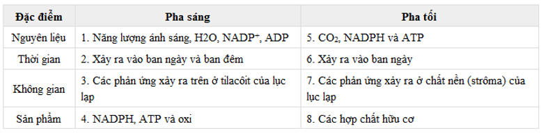 Dưới đây là bảng phân biệt hai pha của quá trình quang hợp nhưng có hai vị trí bị nhầm lẫn, hãy xác định đó là hai vị trí nào?