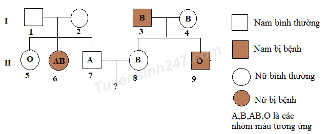 Sự di truyền một bệnh Y ở người do 1 trong 2 alen quy định và được thể hiện qua sơ đồ phả hệ dưới đây. Các chữ cái cho biết các nhóm máu tương ứng của mỗi người. Biết rằng sự di truyền bệnh Y độc lập với di truyền các nhóm máu, quá trình giảm phân bình thường và không có đột biến xảy ra. Có bao nhiêu kết luận sau đây là đúng? I. Có tối đa 5 người mang kiểu gen dị hợp tử về bệnh Y II. Có 4 người có thể biết chính xác về kiểu gen của cả 2 tính trạng trên. III. Xác suất để cặp vợ chồng (7) và (8) ở thế hệ (II) sinh một con trai có nhóm máu B và không bị bệnh Y là 5/36 IV. Xác suất để cặp vợ chồng (7) và (8) ở thế hệ (II) sinh hai đứa con khác giới đều có nhóm máu A và bị bệnh Y xấp xỉ bằng 0,0868%