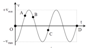 Một vật dao động điều hòa có đồ thị vận tốc như hình vẽ. Nhận định nào sau đây làđúng? 