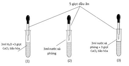 Tiến hành thí nghiệm như hình vẽDự đoán hiện tượng xảy ra trong các ống nghiệm