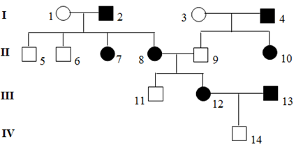 Cho sơ đồ phả hệ mô tả sự di truyền một bệnh ở người do một trong hai alen của một gen quy định, alen trội là trội hoàn toàn. Có bao nhiêu nhận định sau đây đúng? I. Có thể xác định chính xác kiểu gen của tất cả những người trong phả hệ. II. Cặp vợ chồng ở thế hệ III sinh người con thứ hai là con gái không bị bệnh với xác suất 12,5%. III. Người số 14 có kiểu gen aa. IV. Người số 7 và 8 có kiểu gen không giống nhau.