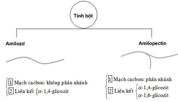 Phát biểu nào sau đây sai?