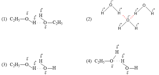 Trong dung dịch ethanol (C<sub>2</sub>H<sub>5</sub>OH) có bao nhiêu loại liên kết hydrogen được tạo thành?