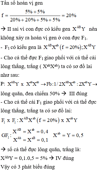 Một loài động vật, cho cá thể cái lông quăn, đen giao phối với cá thể đực lông thẳng, trắng (P), thu được F<sub>1 </sub>gồm 100% cá thể lông quăn, đen. Cho F<sub>1 </sub>giao phối với nhau, thu được F<sub>2</sub> có kiểu hình phân li theo tỉ lệ: 50% cá thể cái lông quăn, đen : 20% cá thể đực lông quăn, đen : 20% cá thể đực lông thẳng, trắng : 5% cá thể đực lông quăn, trắng : 5% cá thể đực lông thẳng, đen. Cho biết mỗi gen qui định một tính trạng và không xày ra đột biến. Theo lí thuyết, có bao nhiêu phát biểu sau đây đúng? I. Các gen qui định các tính trạng đang xét đều nằm trên nhiễm sắc thể giới tính. II. Trong quá trình phát sinh giao tử đực và giao tử cái ở F<sub>1</sub> đã xảy ra hoán vị gen với tần số 20%. III. Nếu cho cá thể đực F<sub>1</sub> giao phối với cá thể cái lông thẳng, trắng thì thu được đời con có số cá thể cái lông quăn, đen chiếm 50%. IV. Nếu cho cá thể cái F<sub>1 </sub>giao phối với cá thể đực lông thẳng, trắng thì thu được đời con có số cá thể đực lông quăn, trắng chiếm 5%.