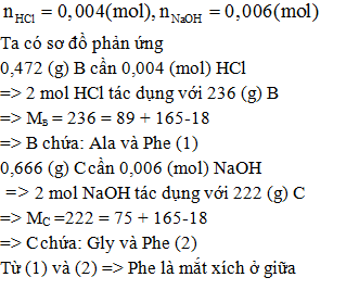 Khi thủy phân không hoàn toàn một peptitAcó khối lượng phân tử mol293g/mol và chứa 14,3%N(theo khối lượng) thu được 2 peptit B vàC.Mẫu 0,472gampeptit B khi đem đi đun nóng phản ứng hoàn toàn với 18mldung dịch HCl0,222 M. Mầu 0,666gampeptitCkhi đun nóng phản ứng hoàn toàn với 14,7mldung dịch NaOH 1,6% (khối lượng riêng là l,022g/ml). Cấu tạo có thể có củaAlà