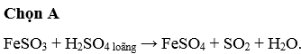 Cho sơ đồ phản ứng sau : chất X + H2SO4 → FeSO4 + SO2 + H2O. Hãy cho biết, chất X có thể là chất nào trong số các chất sau: