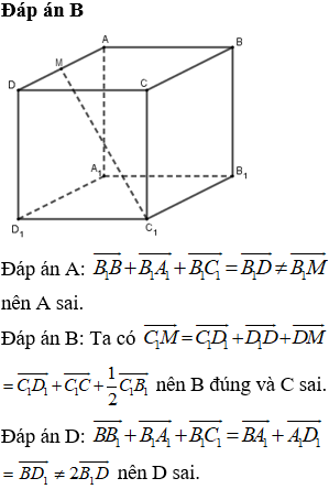 Cho hình lập phương ABCD.A1B1C1D1. Gọi M là trung điểm của AD. Chọn khẳng định đúng: