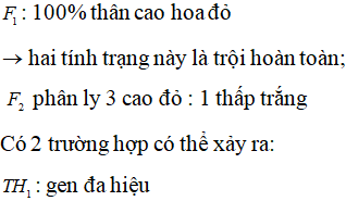 Khi cho cây cao, hoa đỏ thuần chủng lại với cây thấp, hoa trắng thuần chủng thu được có 100% cây cao, hoa đỏ. Các cây giao phấn ngẫu nhiên thu được có tỉ lệ kiểu hình 75% cây cao, hoa đỏ : 25% cây thấp, hoa trắng. Có bao nhiêu dự đoán sau đây là phù hợp với kết quả của phép lai nói trên? (1). Có hiện tượng 1 gen quy định 2 tính trạng trong đó thân cao, hoa đỏ là trội so với thân thấp, hoa trắng. (2). Đời chỉ có 3 kiểu gen (3). Nếu cho lai phân tích thì đời con sẽ có tỉ lệ kiểu hình 50% cây cao, hoa đỏ : 50% cây thấp, hoa trắng. (4). Có hiện tượng mỗi tính trạng do một cặp gen quy định và di truyền liên kết hoàn toàn