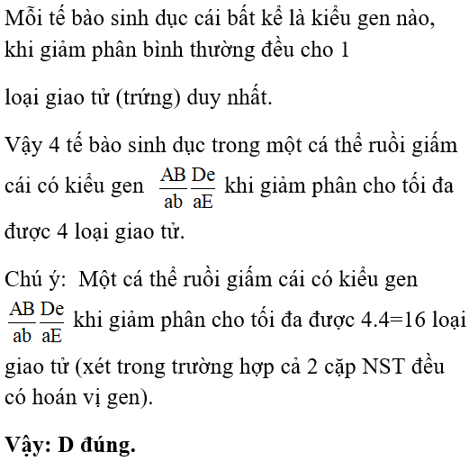 Xét 4 tế bào sinh dục trong một cá thể ruồi giấm cái có kiểu gen trên giảm phân tạo ra số loại trứng tối đa có thể có là