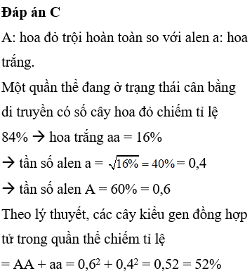 Ở một loài thực vật giao phấn, xét một gen có 2 alen, alen A qui định hoa đỏ trội hoàn toàn so với alen a qui định hoa trắng. Một quần thể đang ở trạng thái cân bằng di truyền có số cây hoa đỏ chiếm tỉ lệ 84%. Theo lý thuyết, các cây kiểu gen đồng hợp tử trong quần thể chiếm tỉ lệ