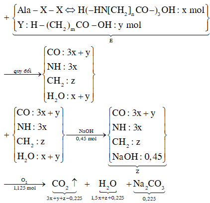 X là amino axit có công thức H<sub>2</sub>NC<sub>n</sub>H<sub>2n</sub>COOH, Y là axit cacboxylic no, đơn chức, mạch hở. Cho hỗn hợp E gồm peptit Ala-X-X và Y tác dụng vừa đủ với 450 ml dung dịch NaOH 1M, thu được m gam muối Z. Đốt cháy hoàn toàn Z cần 25,2 lít khí O<sub>2</sub> (đktc), thu được N<sub>2</sub>, Na<sub>2</sub>CO<sub>3</sub> và 50,75 gam hỗn hợp gồm CO<sub>2</sub> và H<sub>2</sub>O. Khối lượng của muối có phân tử khối nhỏ nhất trong Z là