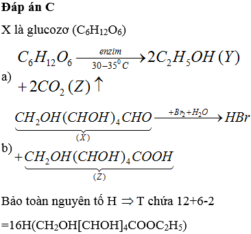 Từ monosacarit X tiến hành các phản ứng sau (đúng tỉ lệ mol các chất): (a) X →30-350 Cenzim2Y + 2CO2 ↑ (b) X + Br2 + H2O →2HBr +Z (c) Z+Y ⇄H2SO4,t0 T + H2O Số nguyên tử H trong phân tử chất T là