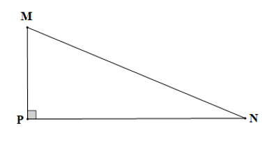 Cho tam giác MNP vuông tại P. Kết luận nào sau đây là sai?