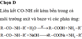 Trong poliamit kém bền dưới tác dụng của axit và kiềm là do