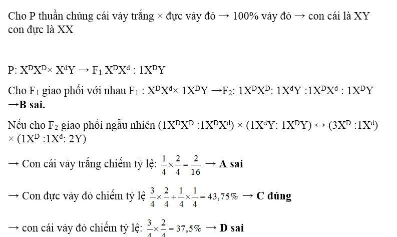 Ở một loài động vật, xét một gen có 2 alen nằm ở vùng không tương đồng của NST giới tính X , alen D quy định vảy đỏ trội hoàn toàn so với alen d quy định vảy trắng. Cho con cái vảy trắng lai với con đực vảy đỏ thuần chủng (P) thu được F<sub>1</sub> toàn vảy đỏ. Cho F<sub>1</sub> giao phối với nhau thu được F<sub>2</sub> có kiểu hình phân ly theo tỷ lệ 75% con vảy đỏ:25% con vảy trắng, tất cả các con vảy trắng đều là con cái. Biết rằng không xảy ra đột biến, sự biểu hiện gen không phụ thuộc vào môi trường. Dựa vào kết quả trên, dự đoán nào sau đây đúng ?